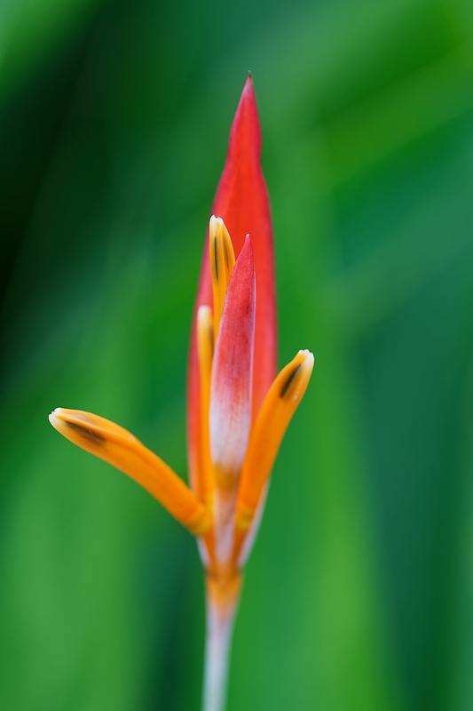 DSC_5704_DxO.JPG