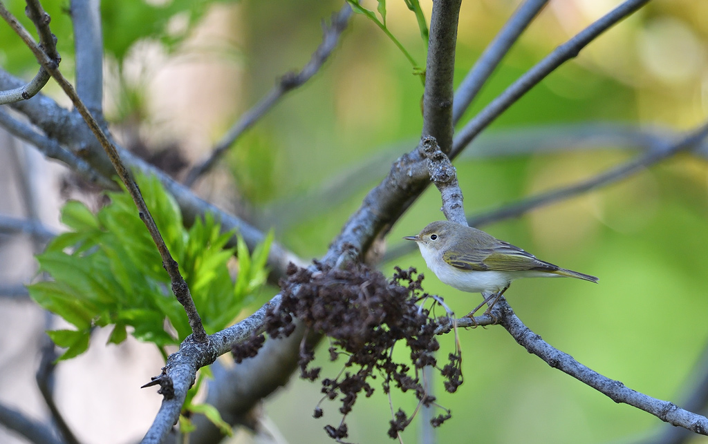 DS5_2572.jpg