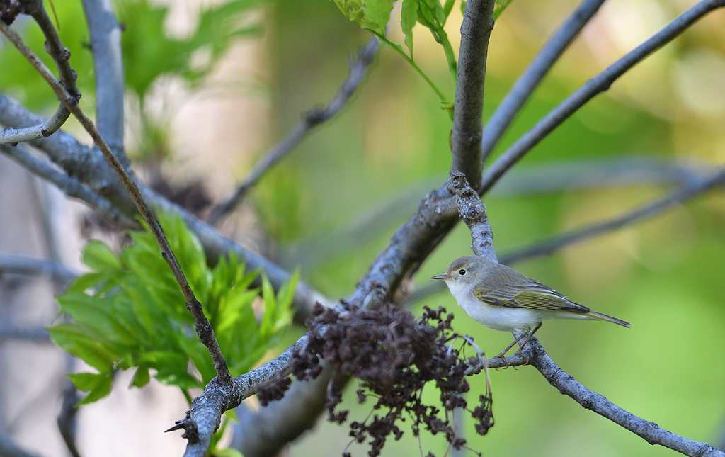 DS5_2576.jpg