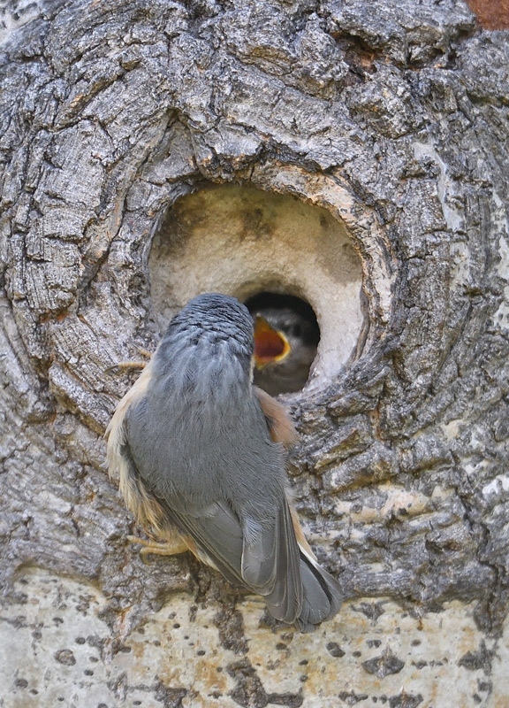 DS5_2585.jpg