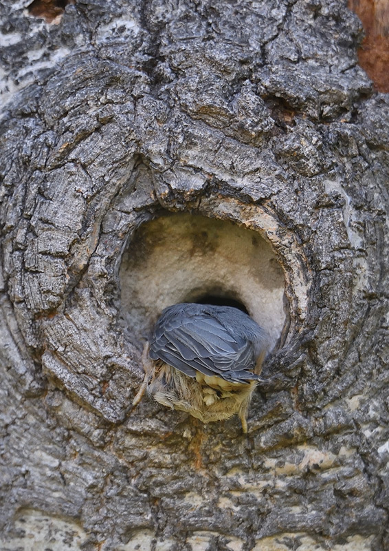 DS5_2590.jpg