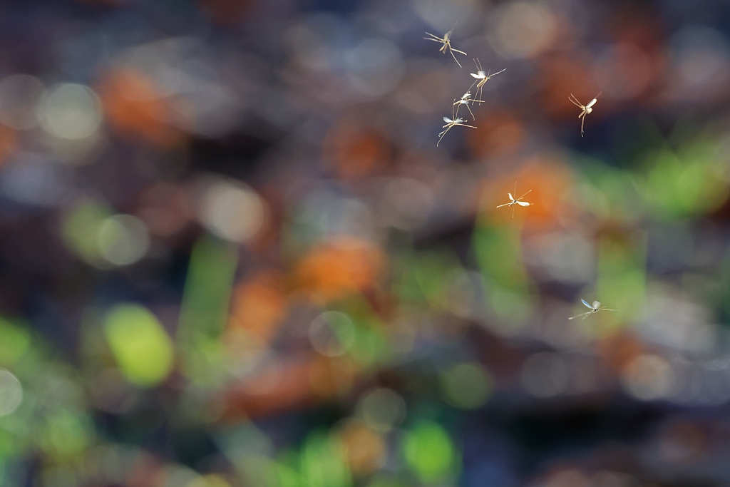DSC_7440_DxO.jpg