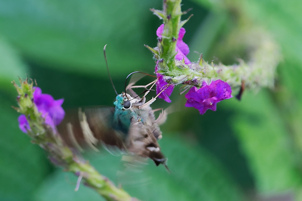 DSC_5773_DxO.JPG