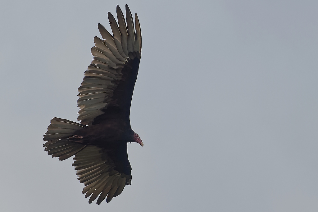DSC_5774_DxO.JPG