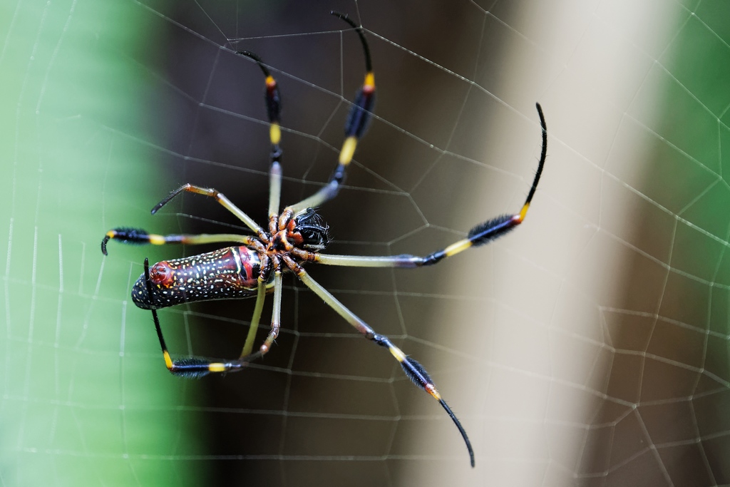 DSC_5786_DxO.jpg