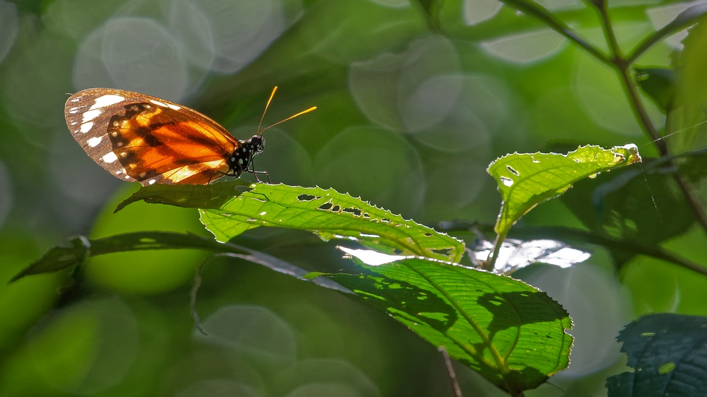DSC_5794_DxO.JPG