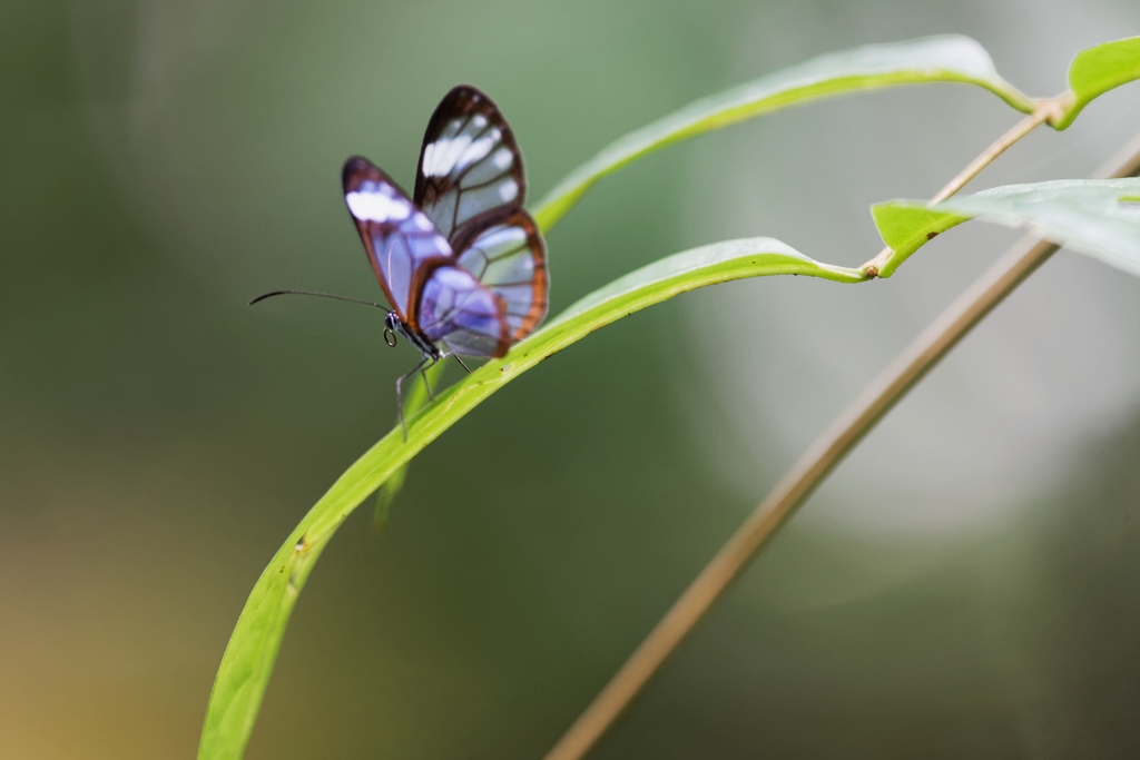 DSC_5824_DxO.JPG