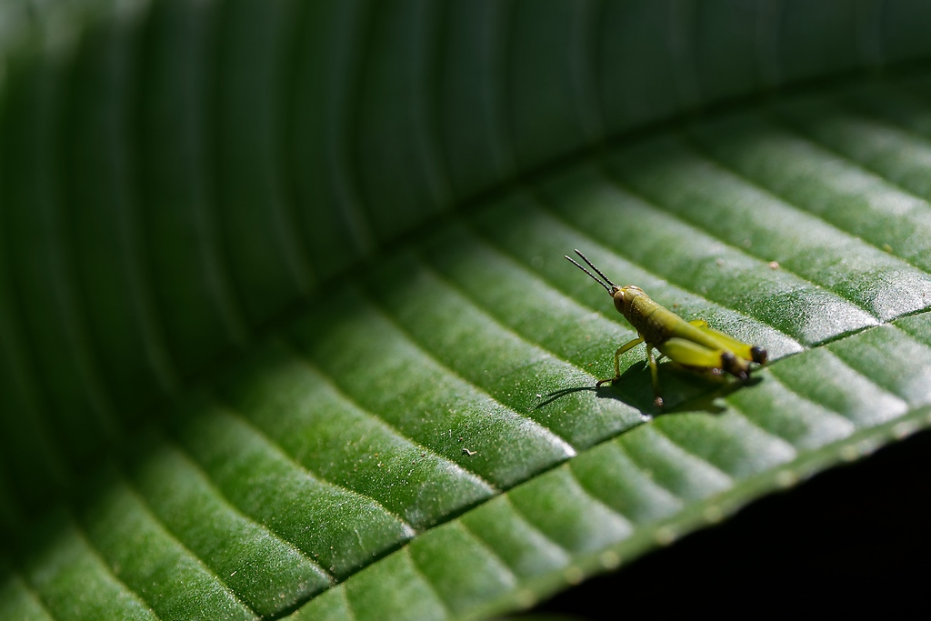 DSC_5817_DxO.JPG