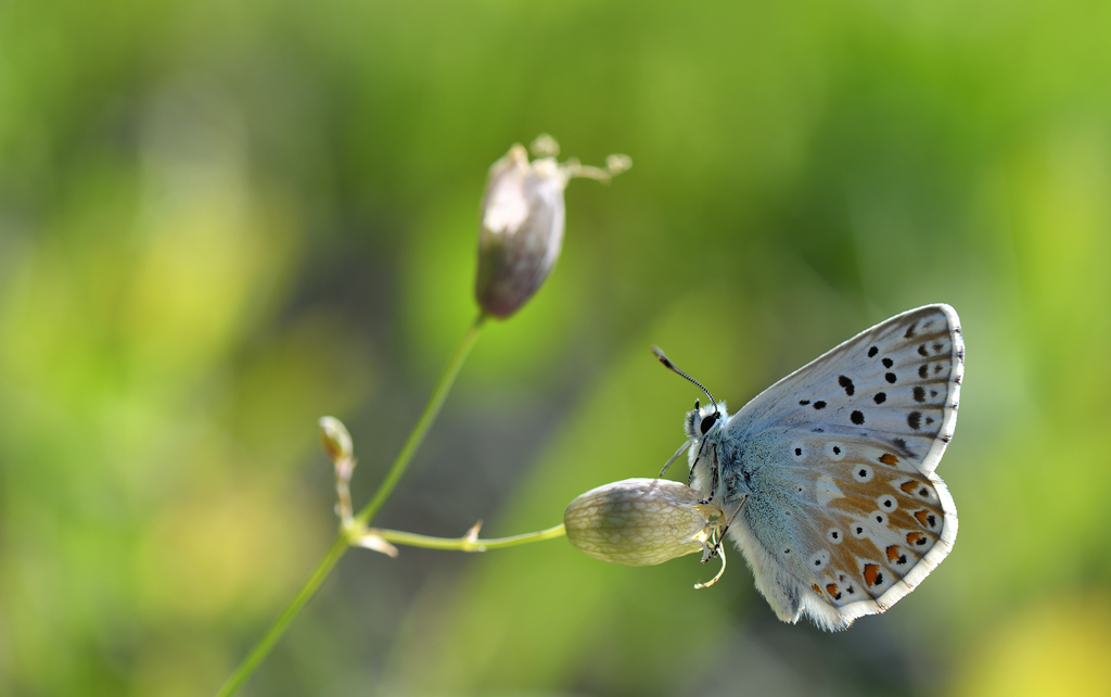 DS5_8299.jpg