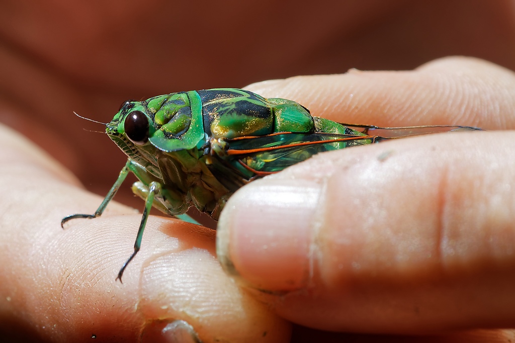 DSC_5851_DxO.JPG