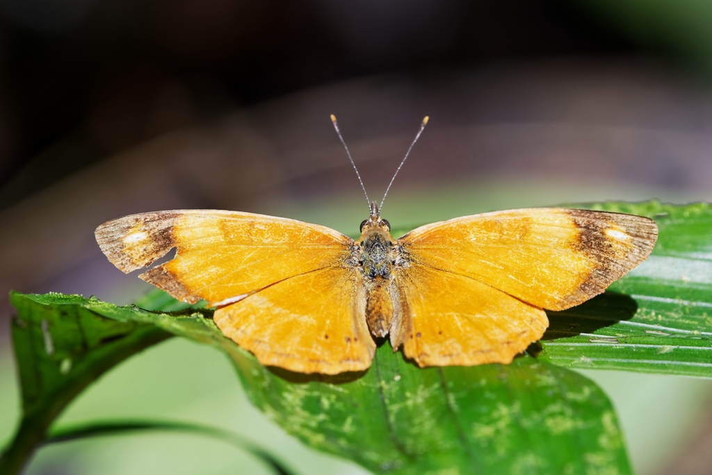 DSC_5859_DxO.JPG