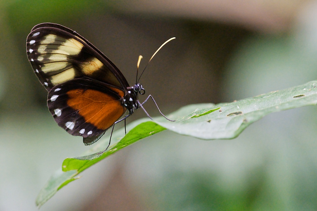 DSC_5877_DxO.JPG