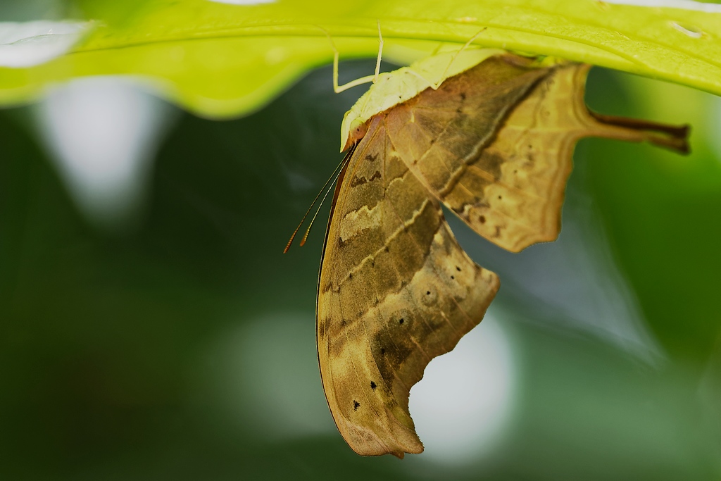 DSC_5881_DxO.JPG