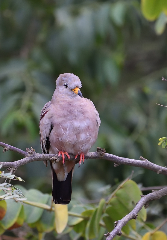 DS5_6769.jpg