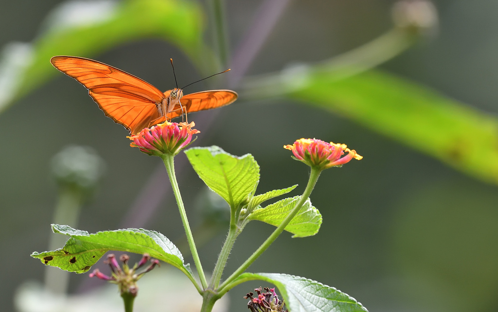 DS5_3813.jpg