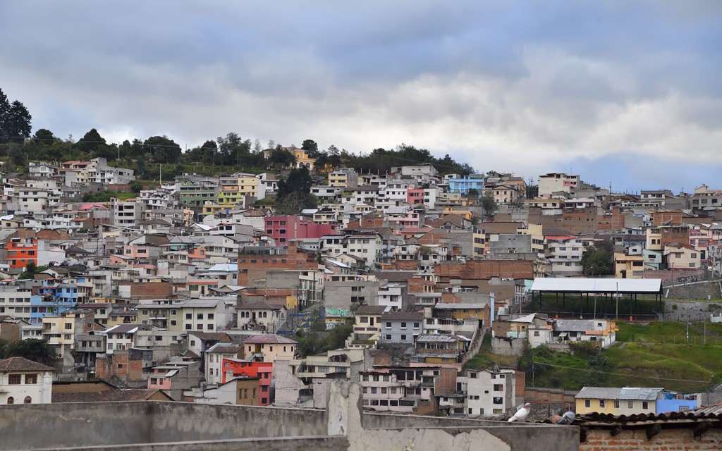 DS5_3734.jpg
