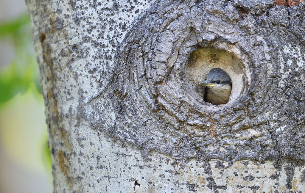 DS5_2655.jpg