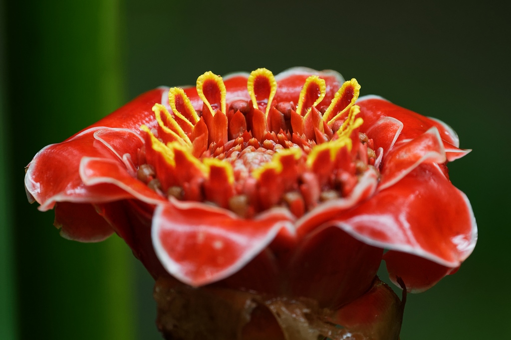 DSC_5971_DxO.JPG