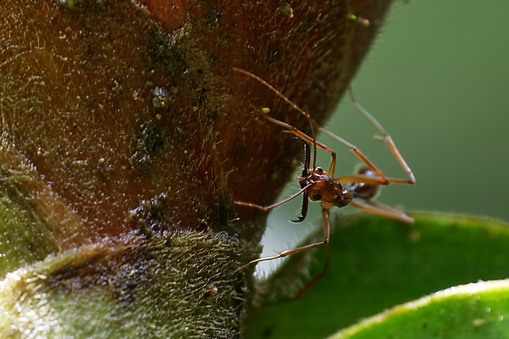 DSC_6010_DxO.JPG