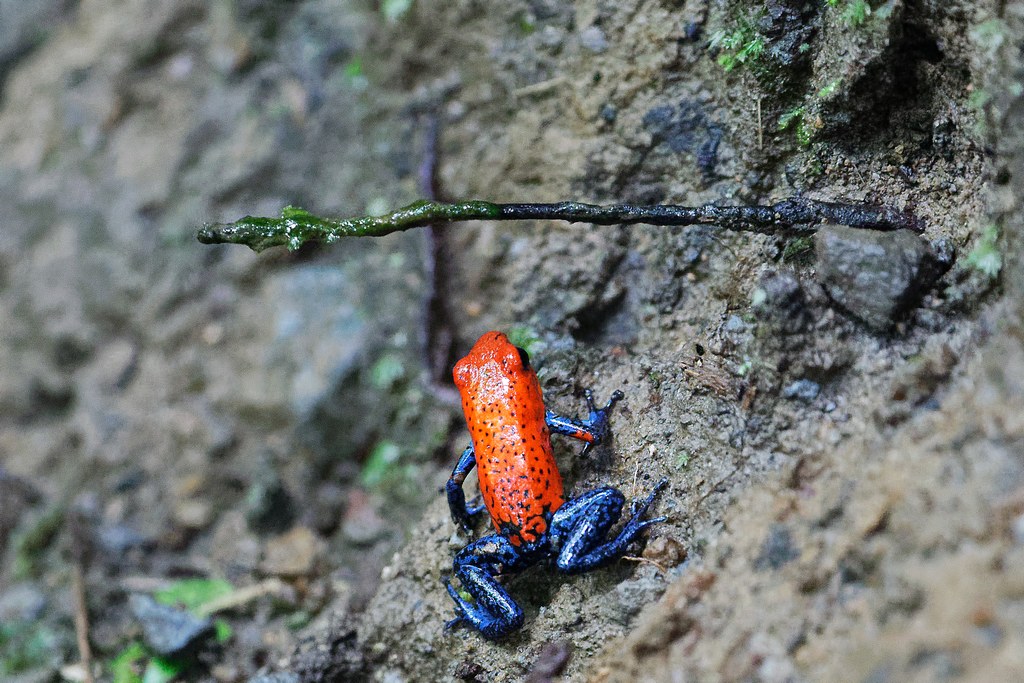 DSC_5998_DxO.JPG