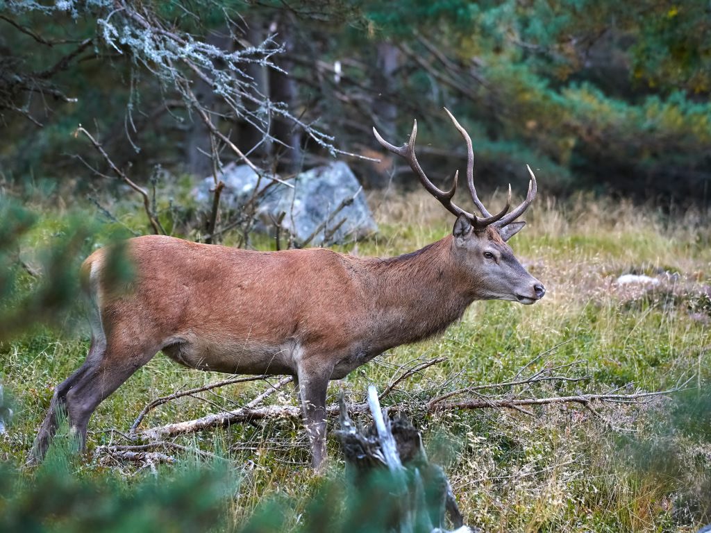 d 0622.jpg