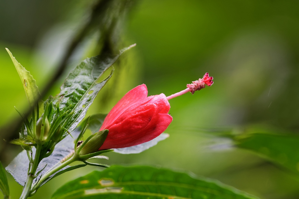 DSC_6060_DxO.JPG