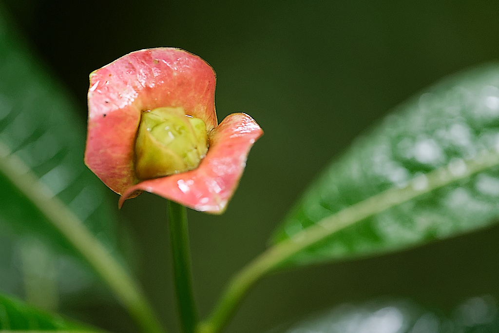 DSC_6063_DxO.JPG