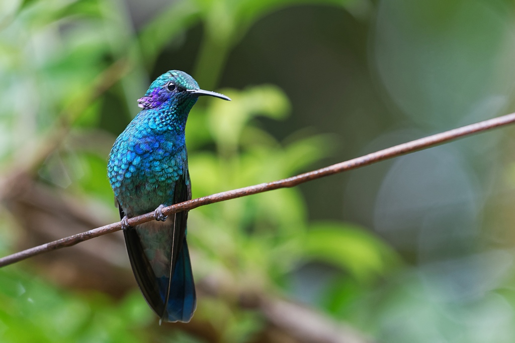 DSC_6094_DxO.JPG