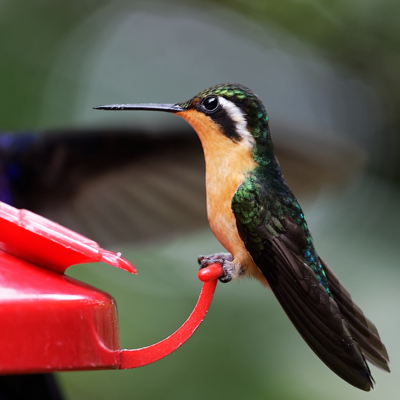 DSC_6105_DxO-1.JPG