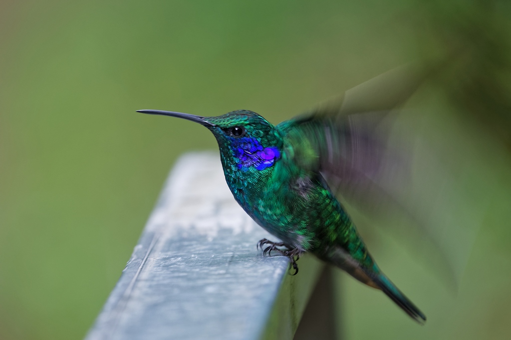 DSC_6114_DxO.JPG