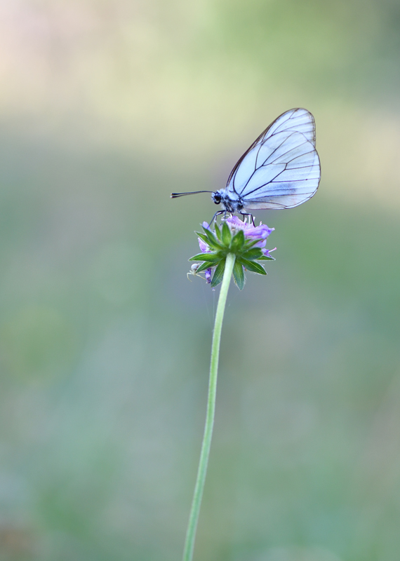 DS5_8565.jpg