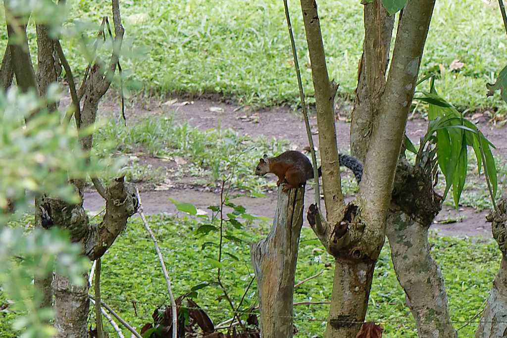 DSC_1853_DxO.JPG
