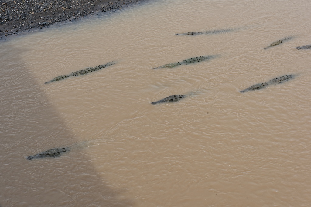 DSC_1854_DxO.JPG