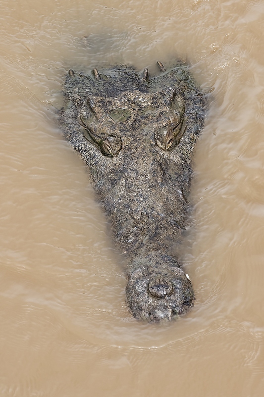 DSC_1867_DxO.JPG