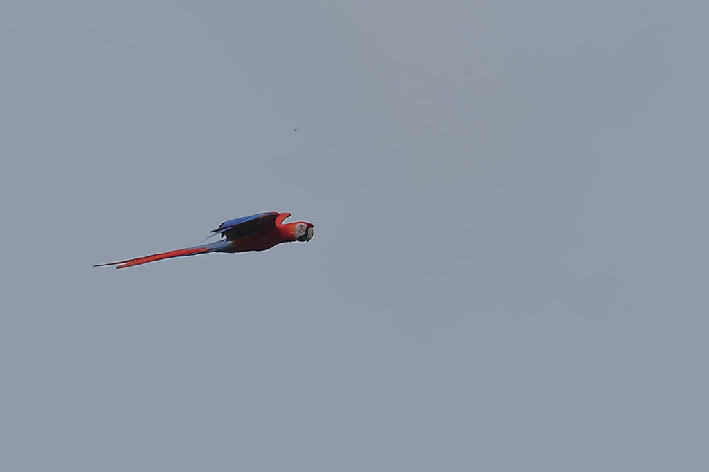 DSC_1872_DxO.JPG