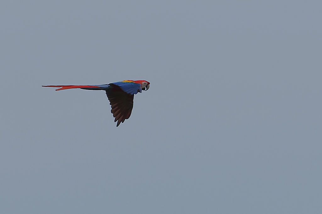 DSC_1873_DxO.JPG