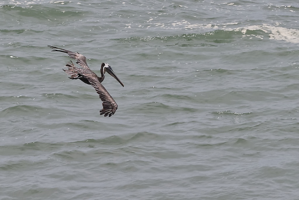 DSC_6202_DxO.JPG