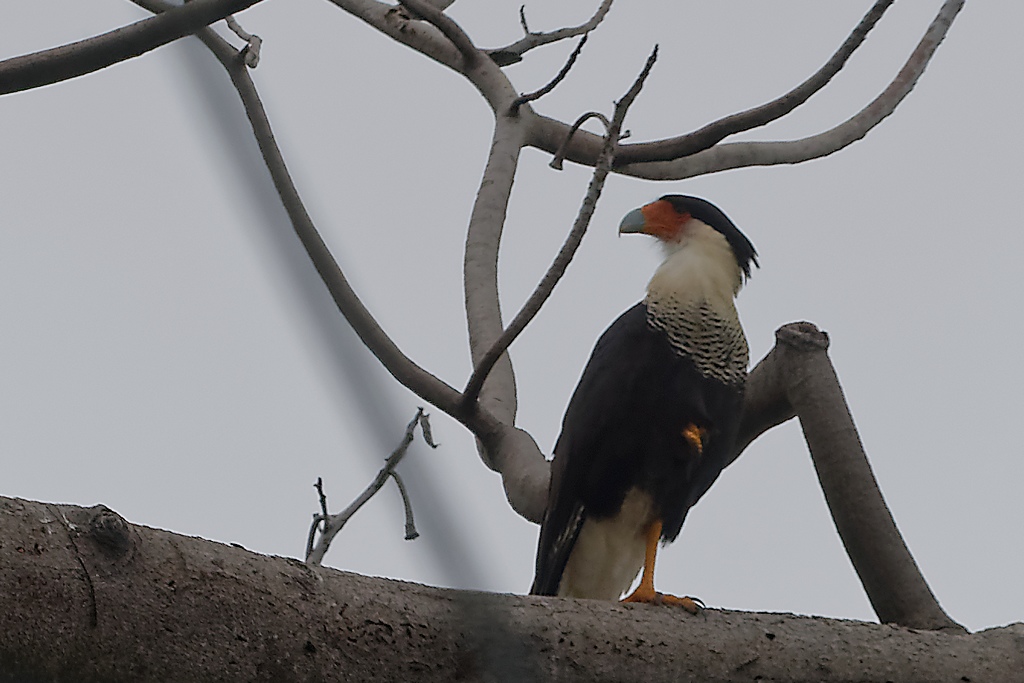 DSC_6214_DxO.JPG