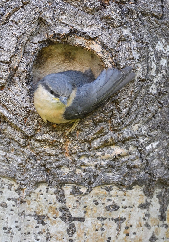 DS5_2751.jpg
