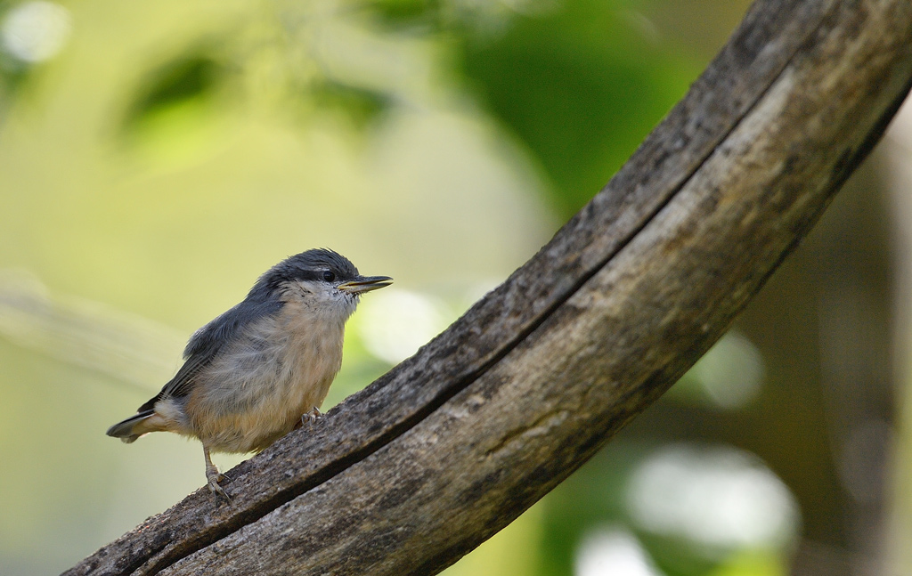DS5_2772.jpg
