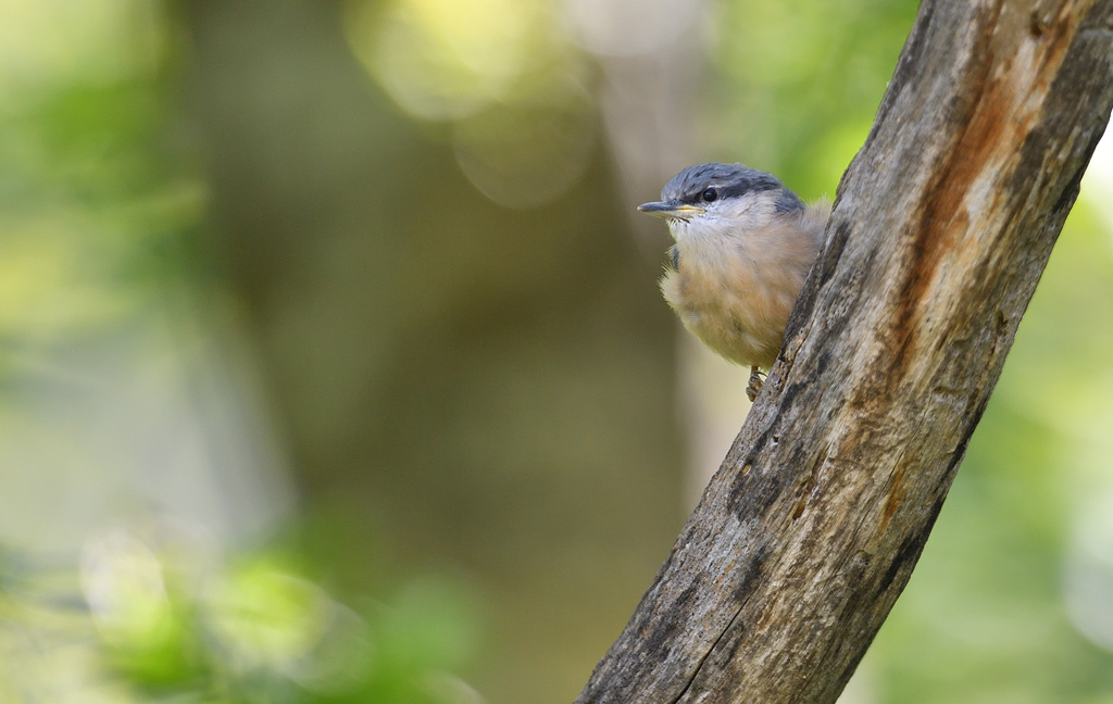 DS5_2777.jpg