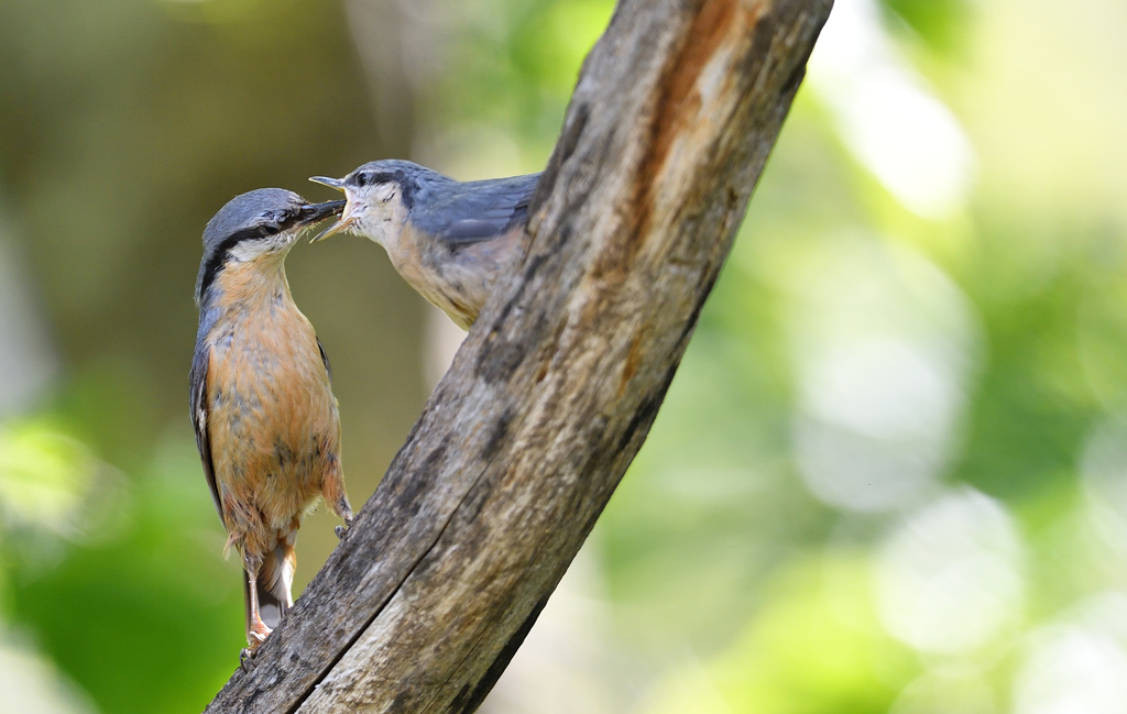 DS5_2797.jpg