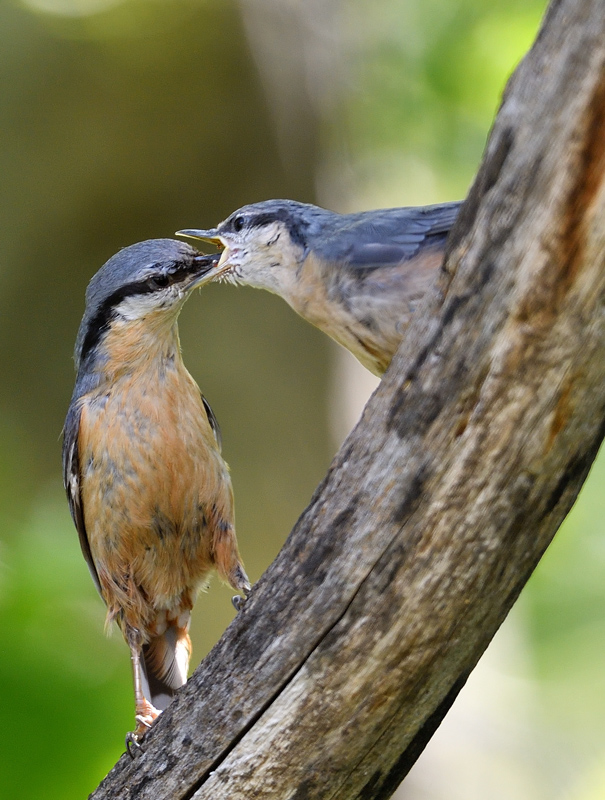 DS5_2799.jpg