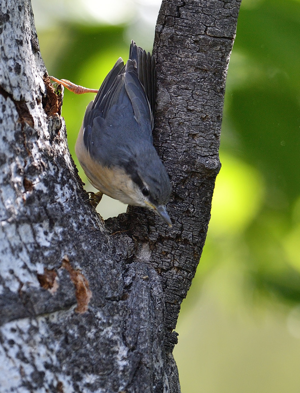 DS5_2821.jpg