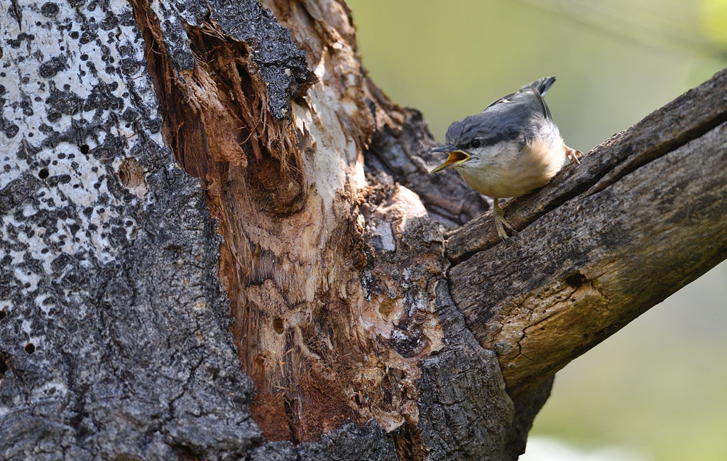 DS5_2824.jpg