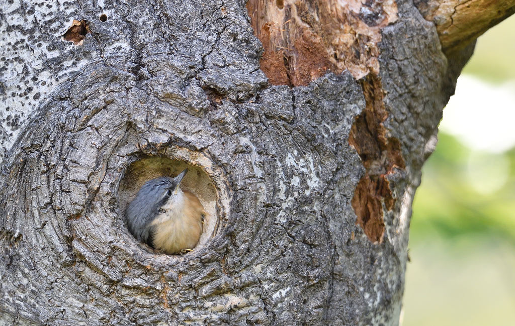 DS5_2825.jpg