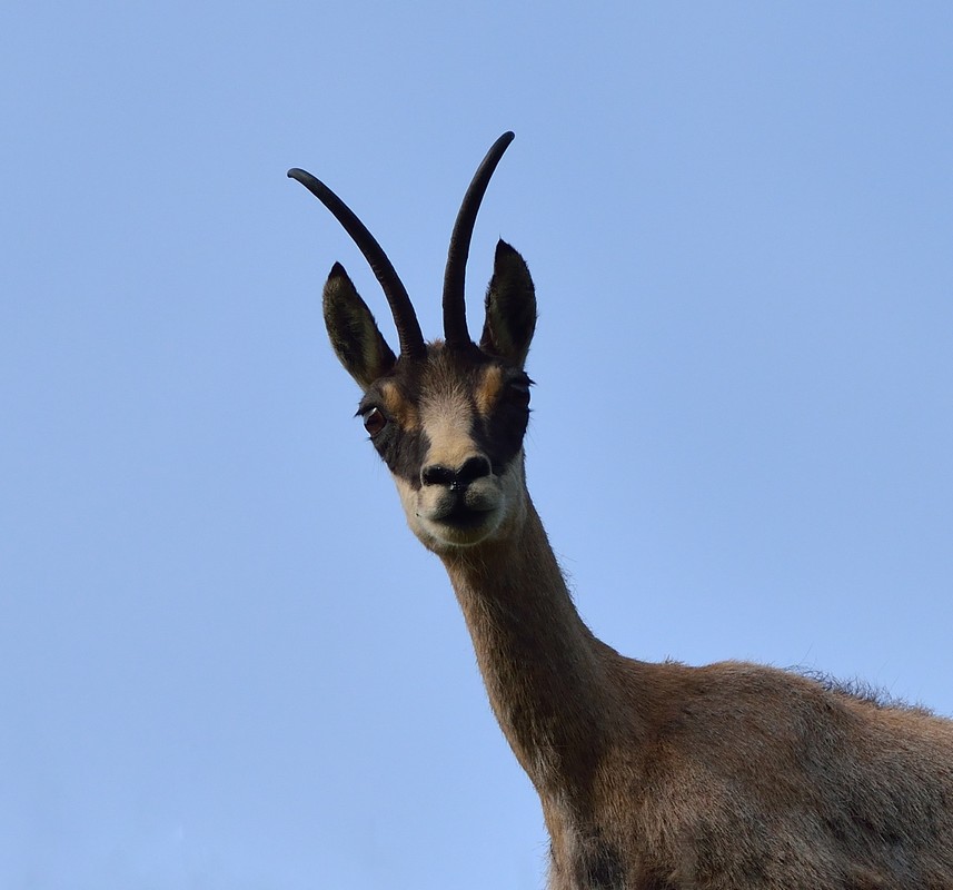 7-DSC_5735--.jpg