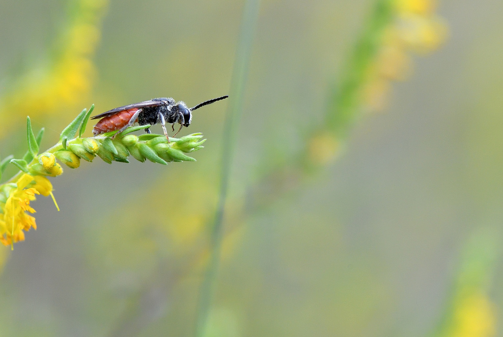 DS5_0949.jpg