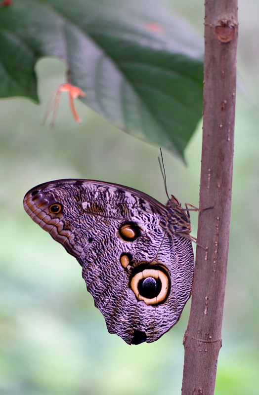 DSC_3766.jpg