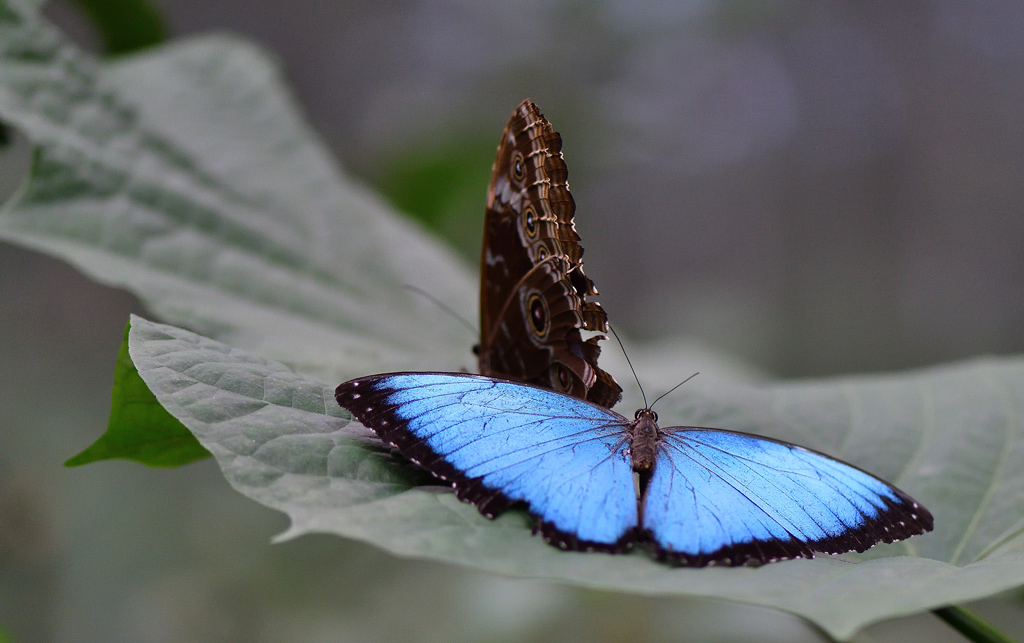 DSC_3782.jpg